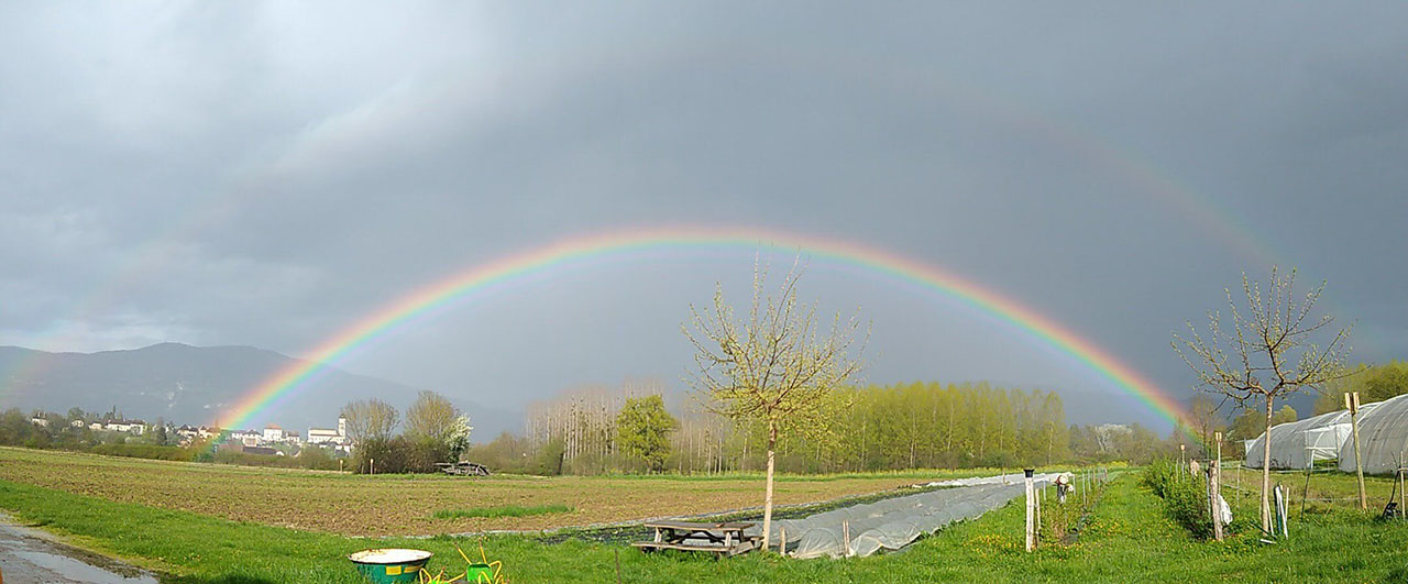 Vue des terrains maraîcher de la ferme. Arrière-plan avec un arc-en-ciel et le village Brangues sur la gauche.